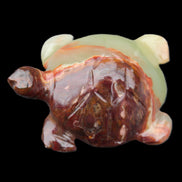 Afghan Jade hand-carved Turtle 99*74*33mm 283g in sunlight - Rocks and Things Store