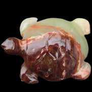 Afghan Jade hand-carved Turtle 99*74*33mm 283g in sunlight - Rocks and Things Store