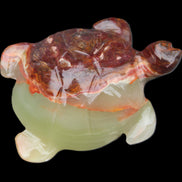 Afghan Jade hand-carved Turtle 99*74*33mm 283g in sunlight - Rocks and Things Store