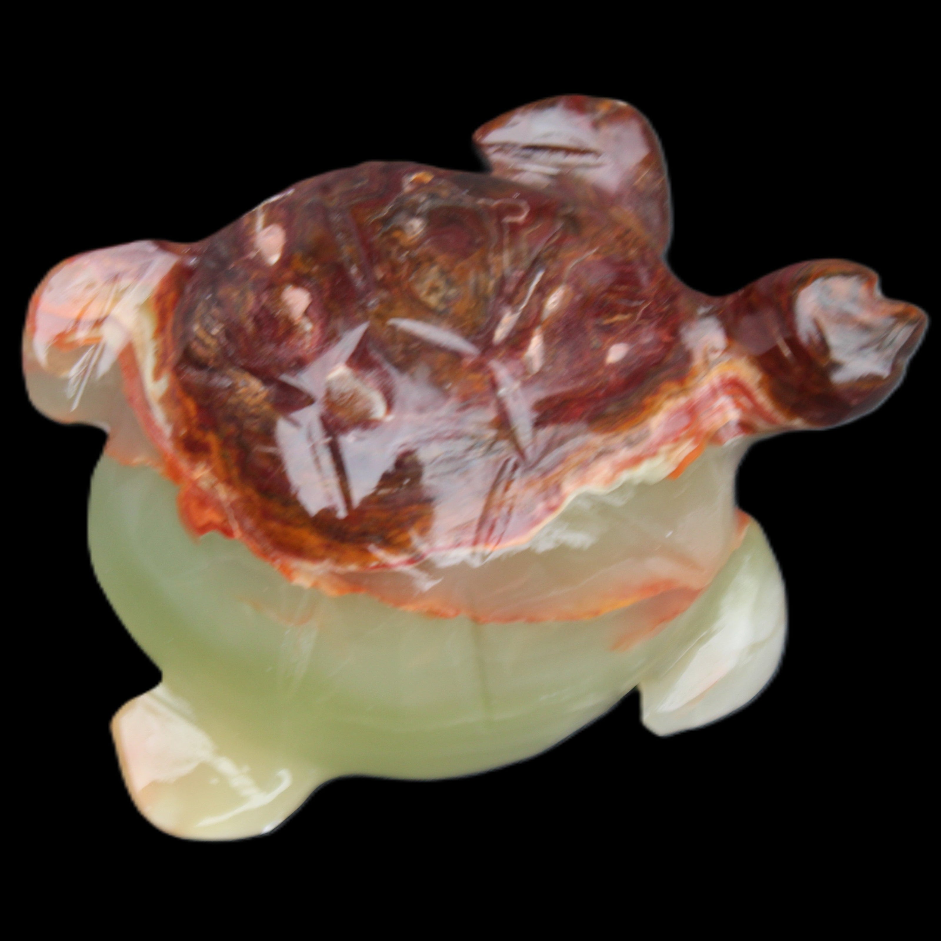 Afghan Jade hand-carved Turtle 99*74*33mm 283g in sunlight - Rocks and Things Store