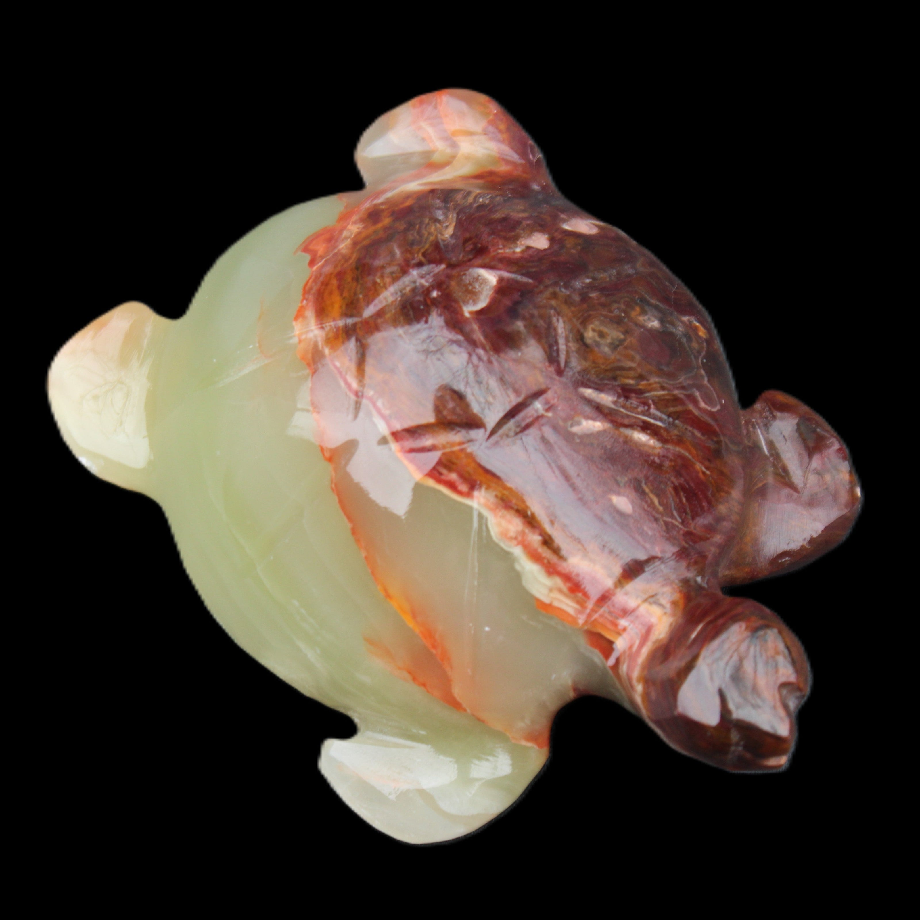 Afghan Jade hand-carved Turtle 99*74*33mm 283g in sunlight - Rocks and Things Store