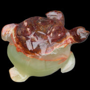 Afghan Jade hand-carved Turtle 99*74*33mm 283g in sunlight - Rocks and Things Store