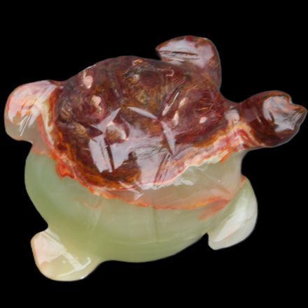 Afghan Jade hand-carved Turtle 99*74*33mm 283g in sunlight - Rocks and Things Store