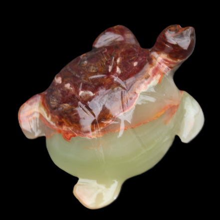 Afghan Jade hand-carved Turtle 99*74*33mm 283g in sunlight - Rocks and Things Store