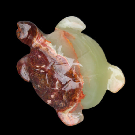 Afghan Jade hand-carved Turtle 99*74*33mm 283g in sunlight - Rocks and Things Store