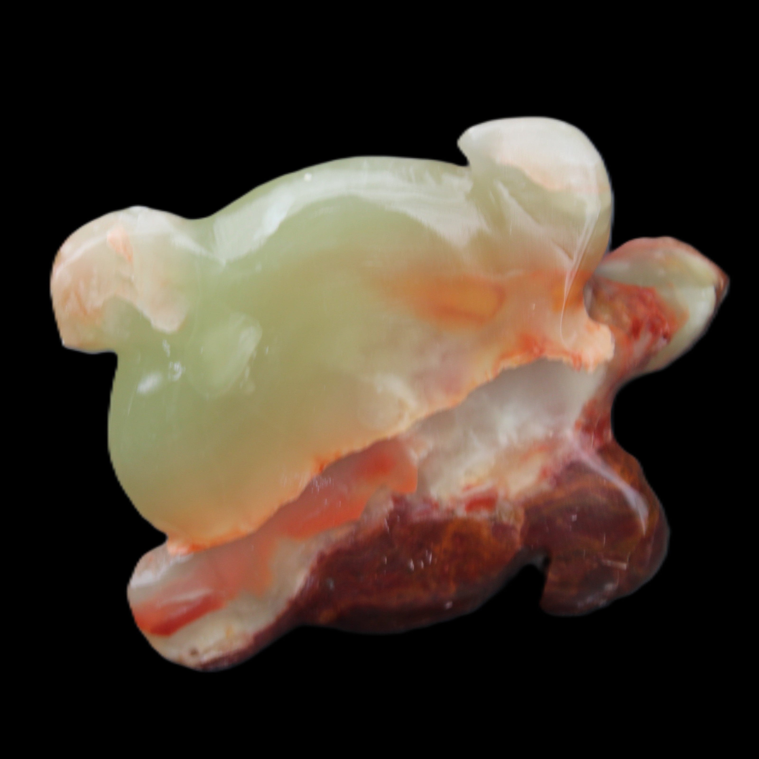 Afghan Jade hand-carved Turtle 99*74*33mm 283g in sunlight - Rocks and Things Store