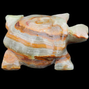 Afghan Jade hand-carved Turtle 92*74*32mm 278g in sunlight - Rocks and Things Store
