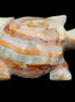 Afghan Jade hand-carved Turtle 92*74*32mm 278g in sunlight - Rocks and Things Store