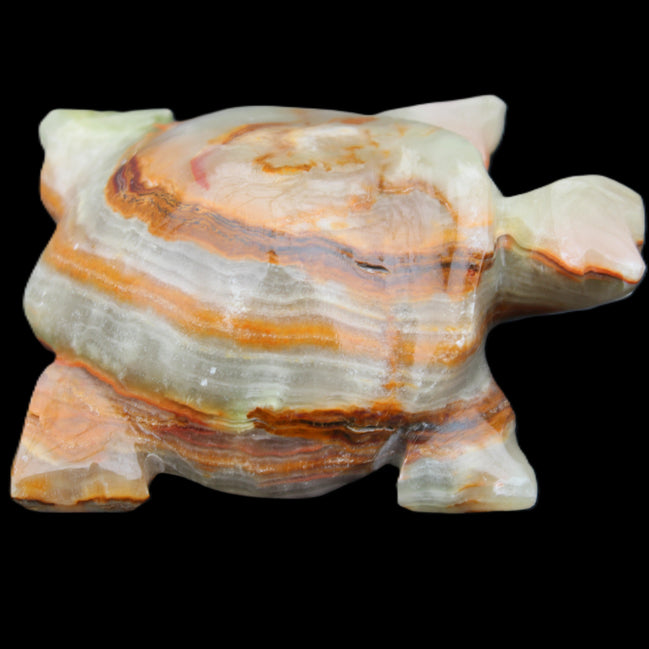 Afghan Jade hand-carved Turtle 92*74*32mm 278g in sunlight - Rocks and Things Store