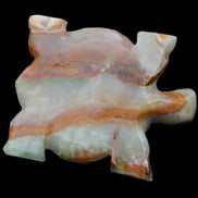 Afghan Jade hand-carved Turtle 92*74*32mm 278g in sunlight - Rocks and Things Store