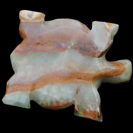 Afghan Jade hand-carved Turtle 92*74*32mm 278g in sunlight - Rocks and Things Store