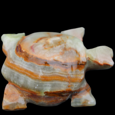 Afghan Jade hand-carved Turtle 92*74*32mm 278g in sunlight - Rocks and Things Store
