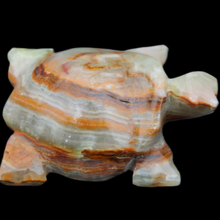 Afghan Jade hand-carved Turtle 92*74*32mm 278g in sunlight - Rocks and Things Store