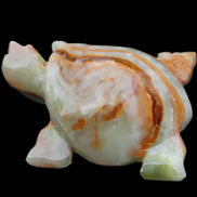Afghan Jade hand-carved Turtle 92*74*32mm 278g in sunlight - Rocks and Things Store