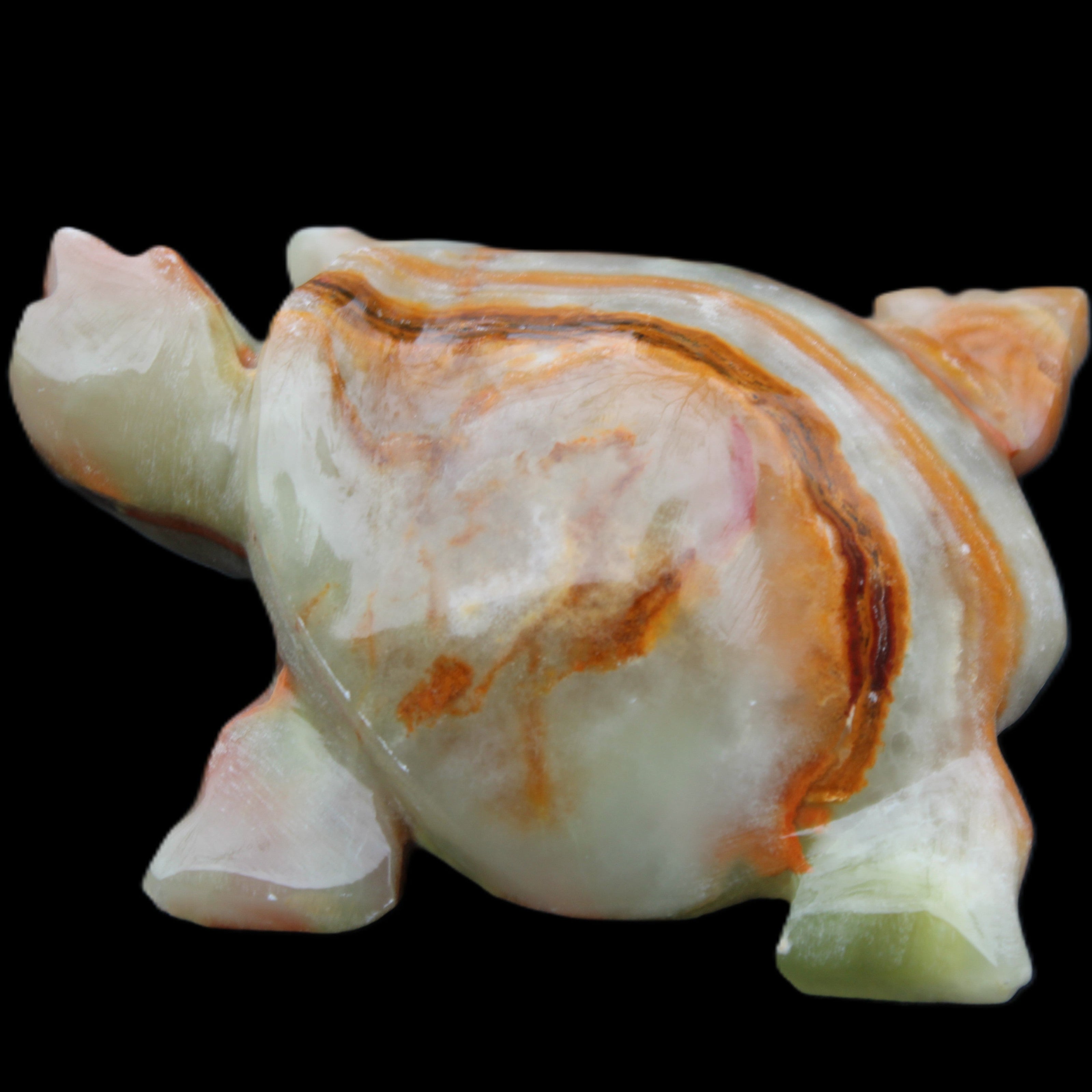 Afghan Jade hand-carved Turtle 92*74*32mm 278g in sunlight - Rocks and Things Store