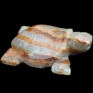 Afghan Jade hand-carved Turtle 92*74*32mm 278g in sunlight - Rocks and Things Store