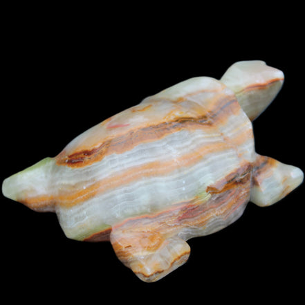 Afghan Jade hand-carved Turtle 92*74*32mm 278g in sunlight - Rocks and Things Store