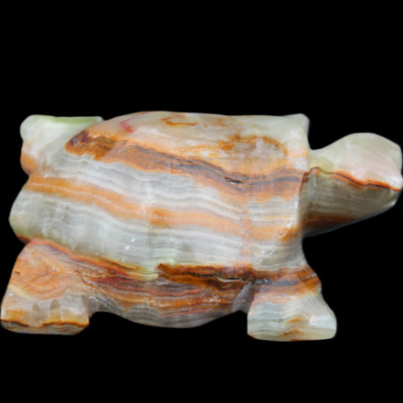 Afghan Jade hand-carved Turtle 92*74*32mm 278g in sunlight - Rocks and Things Store