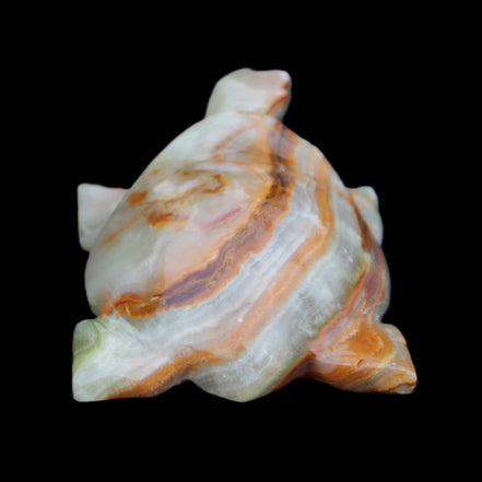 Afghan Jade hand-carved Turtle 92*74*32mm 278g in sunlight - Rocks and Things Store