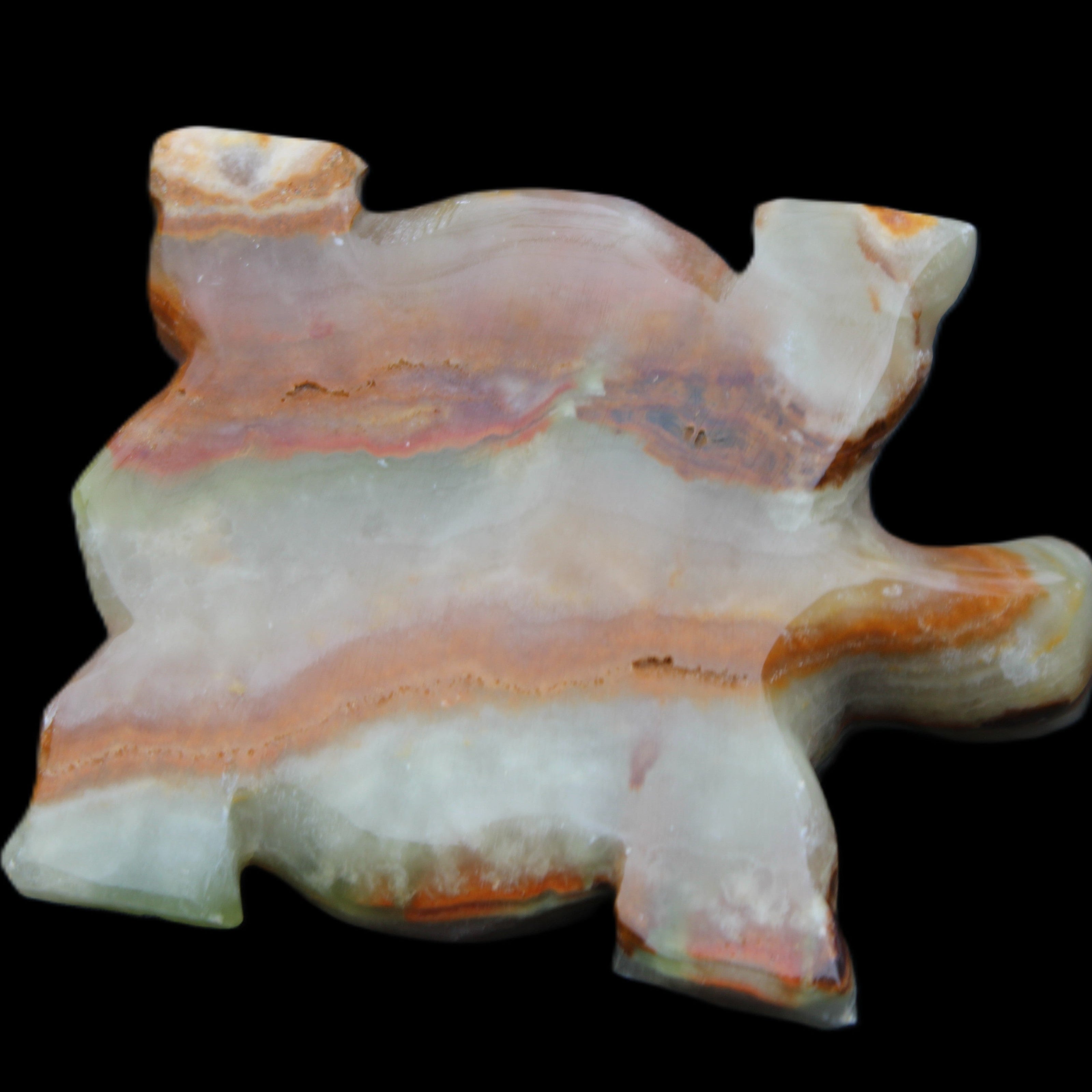 Afghan Jade hand-carved Turtle 92*74*32mm 278g in sunlight - Rocks and Things Store