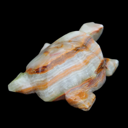 Afghan Jade hand-carved Turtle 92*74*32mm 278g in sunlight - Rocks and Things Store
