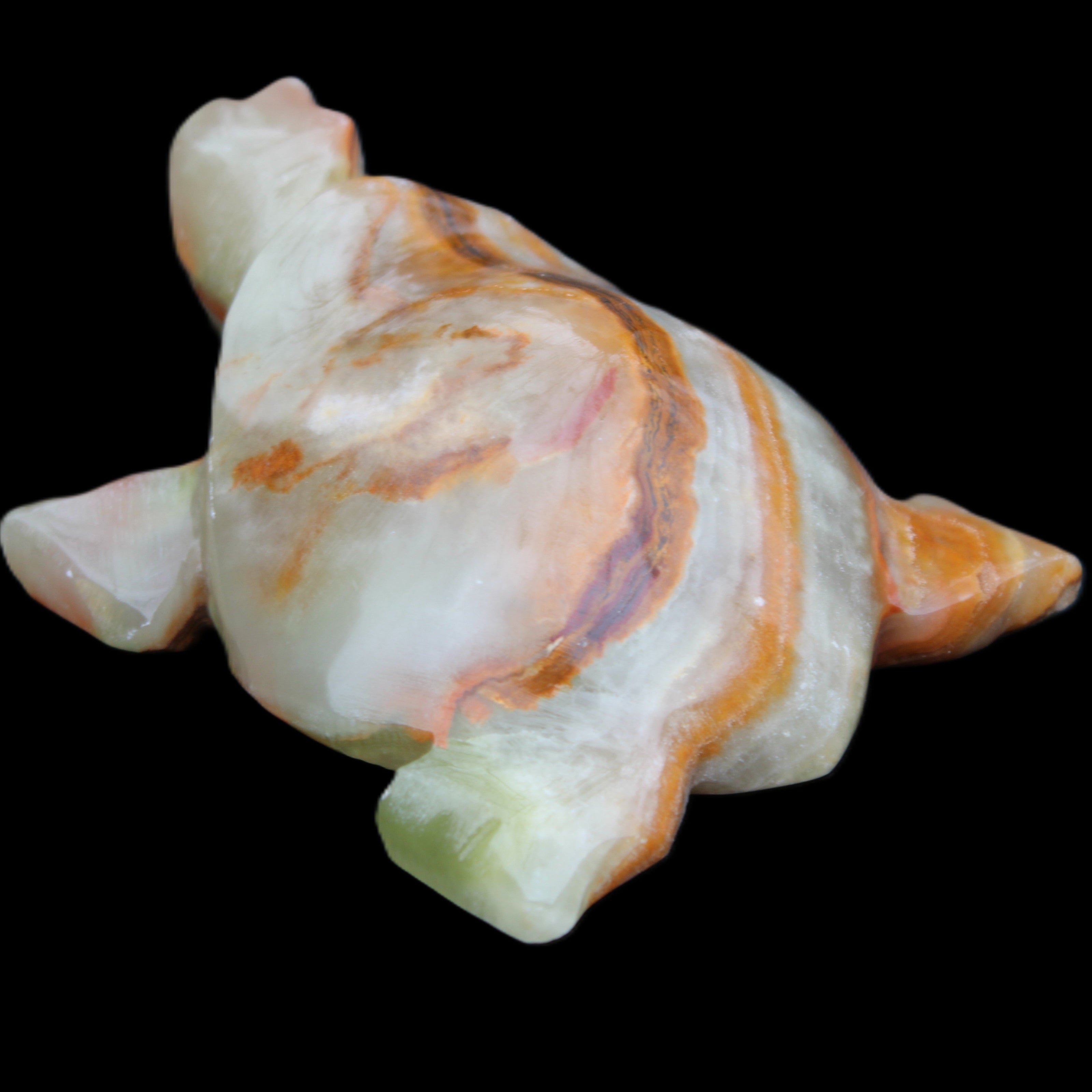 Afghan Jade hand-carved Turtle 92*74*32mm 278g in sunlight - Rocks and Things Store