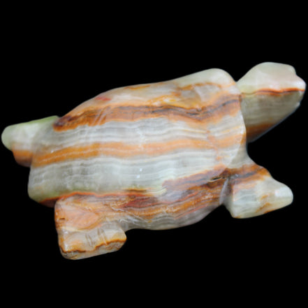 Afghan Jade hand-carved Turtle 92*74*32mm 278g in sunlight - Rocks and Things Store
