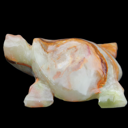Afghan Jade hand-carved Turtle 92*74*32mm 278g in sunlight - Rocks and Things Store