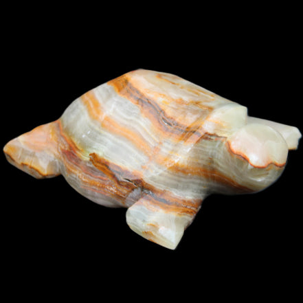 Afghan Jade hand-carved Turtle 92*74*32mm 278g in sunlight - Rocks and Things Store