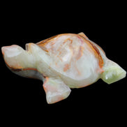 Afghan Jade hand-carved Turtle 92*74*32mm 278g in sunlight - Rocks and Things Store