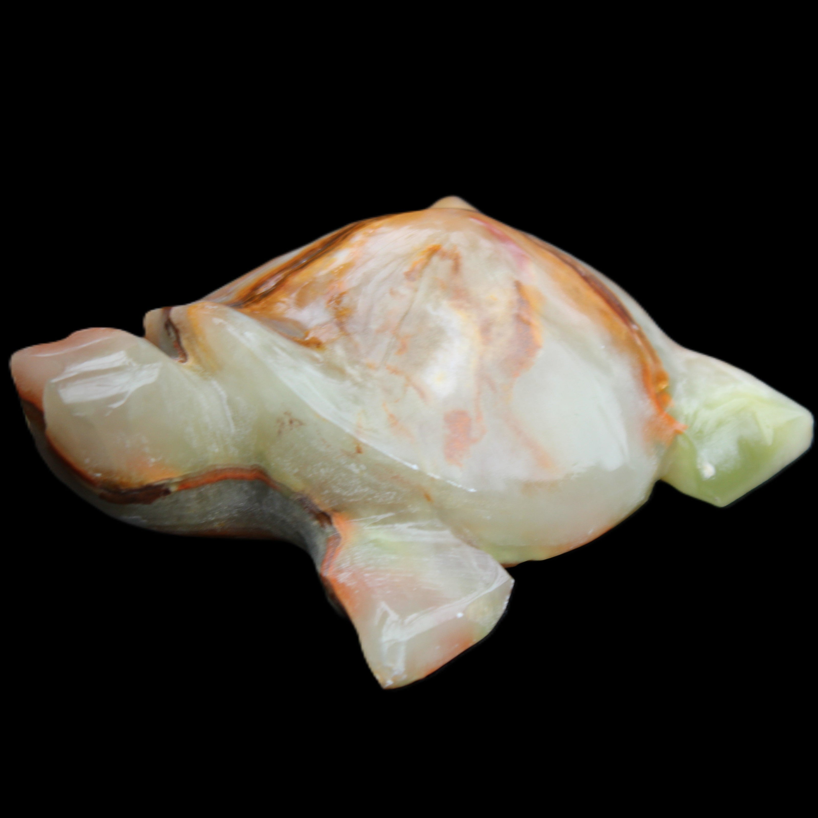 Afghan Jade hand-carved Turtle 92*74*32mm 278g in sunlight - Rocks and Things Store