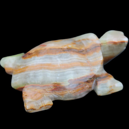 Afghan Jade hand-carved Turtle 92*74*32mm 278g in sunlight - Rocks and Things Store
