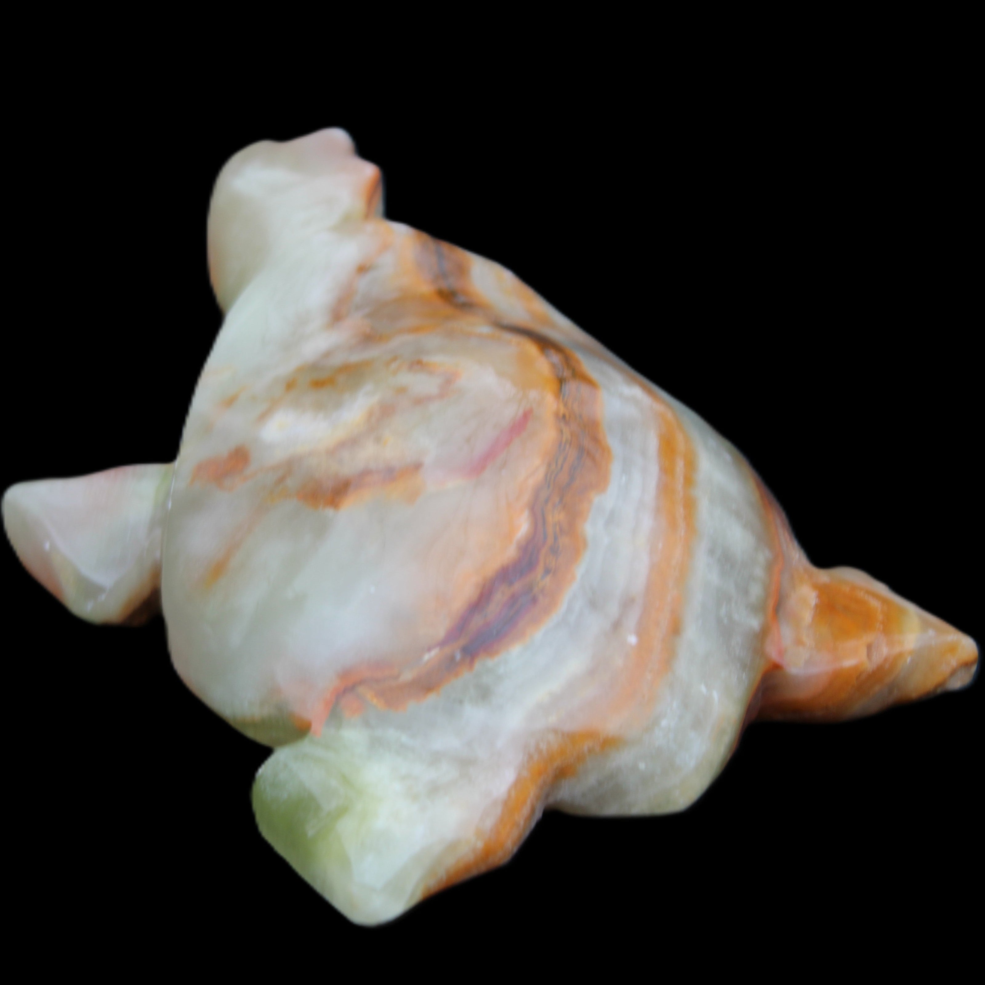 Afghan Jade hand-carved Turtle 92*74*32mm 278g in sunlight - Rocks and Things Store