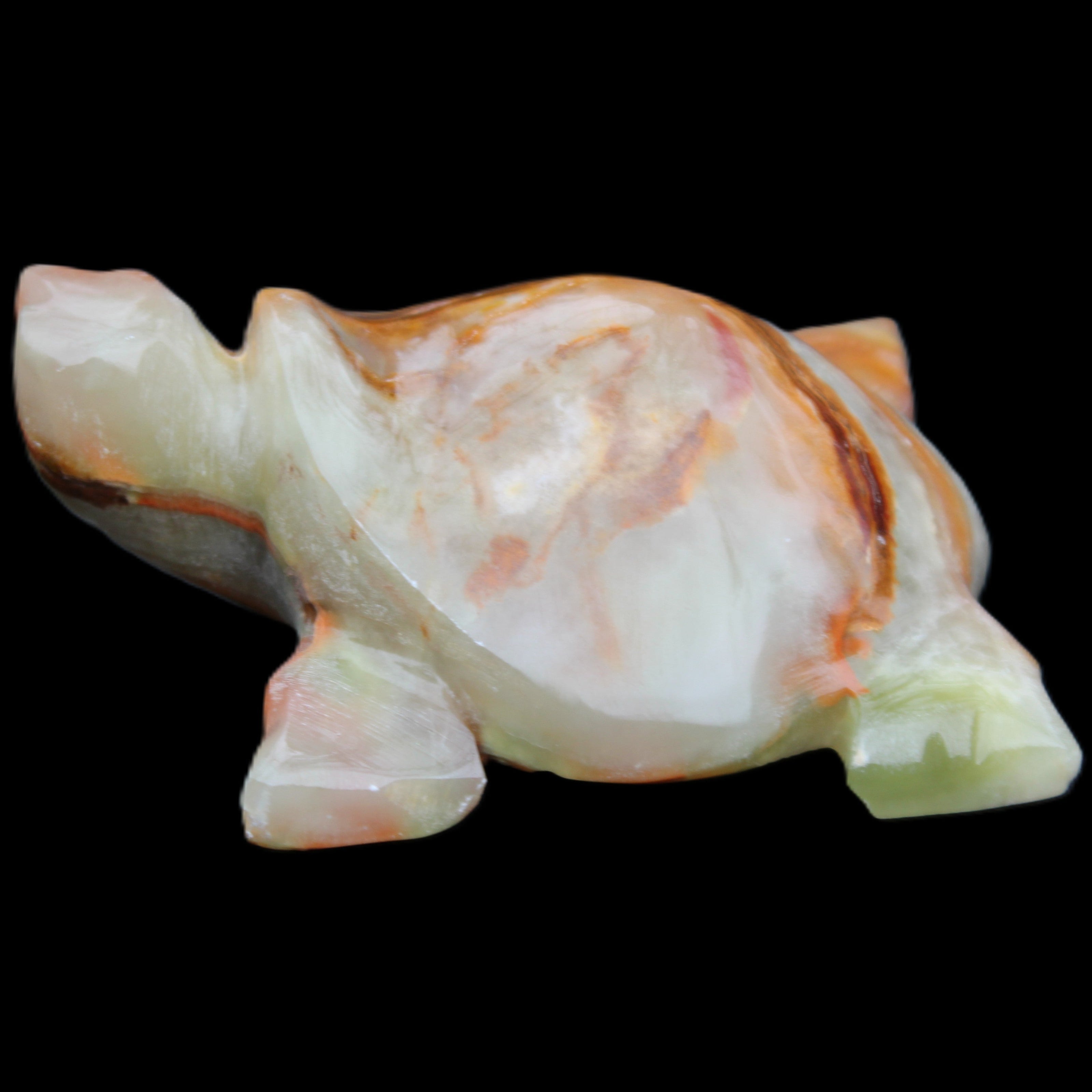 Afghan Jade hand-carved Turtle 92*74*32mm 278g in sunlight - Rocks and Things Store