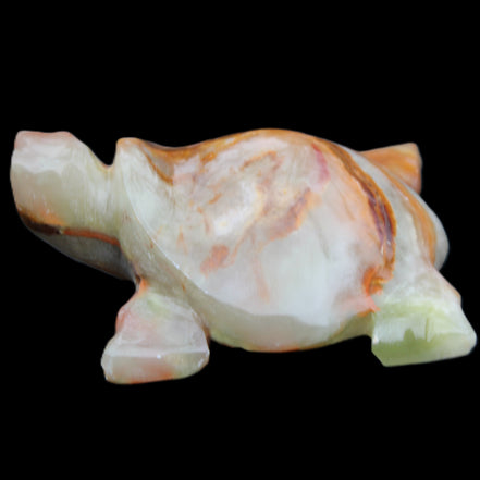 Afghan Jade hand-carved Turtle 92*74*32mm 278g in sunlight - Rocks and Things Store