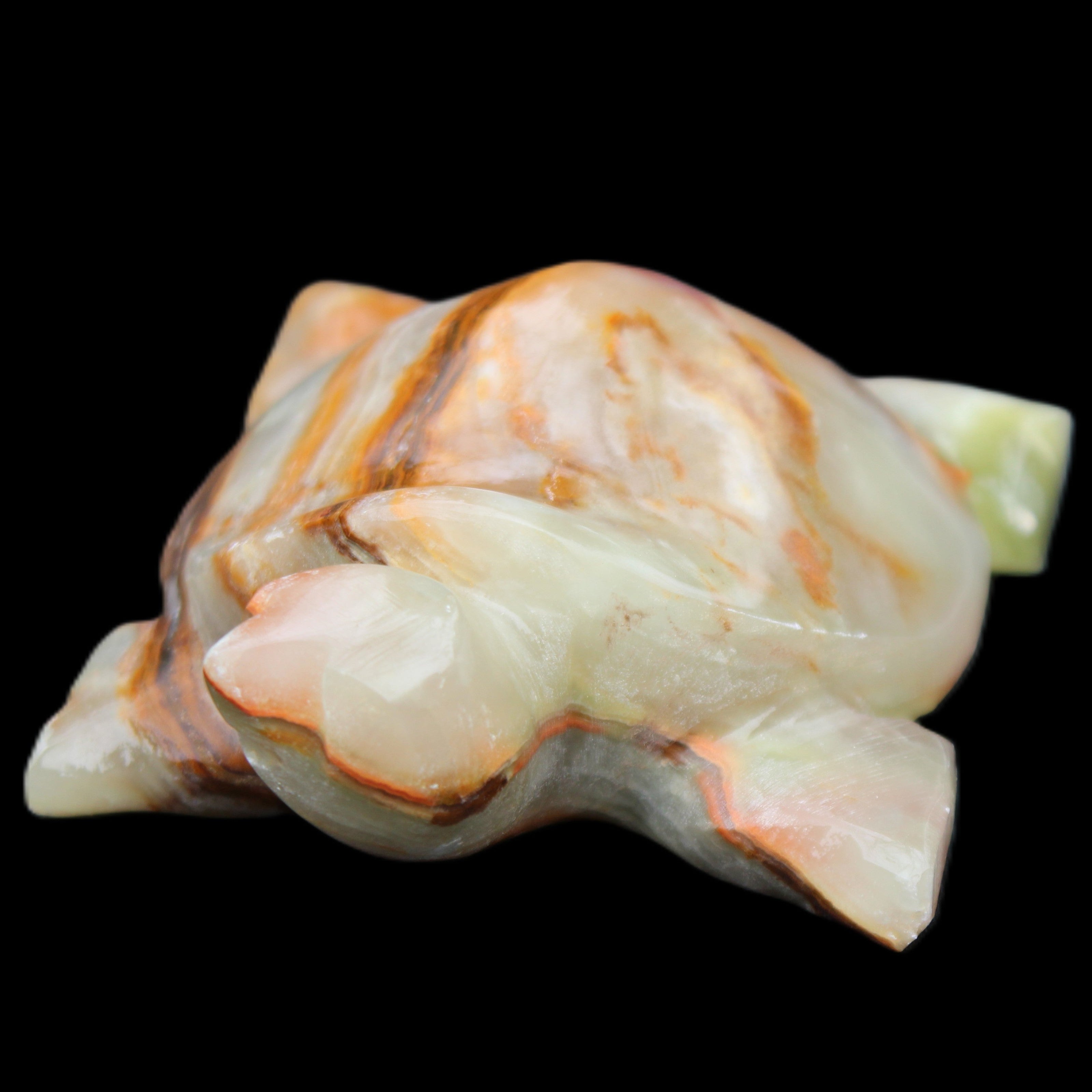 Afghan Jade hand-carved Turtle 92*74*32mm 278g in sunlight - Rocks and Things Store