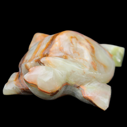 Afghan Jade hand-carved Turtle 92*74*32mm 278g in sunlight - Rocks and Things Store