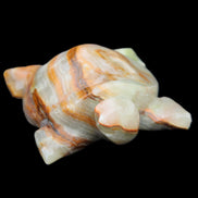 Afghan Jade hand-carved Turtle 92*74*32mm 278g in sunlight - Rocks and Things Store