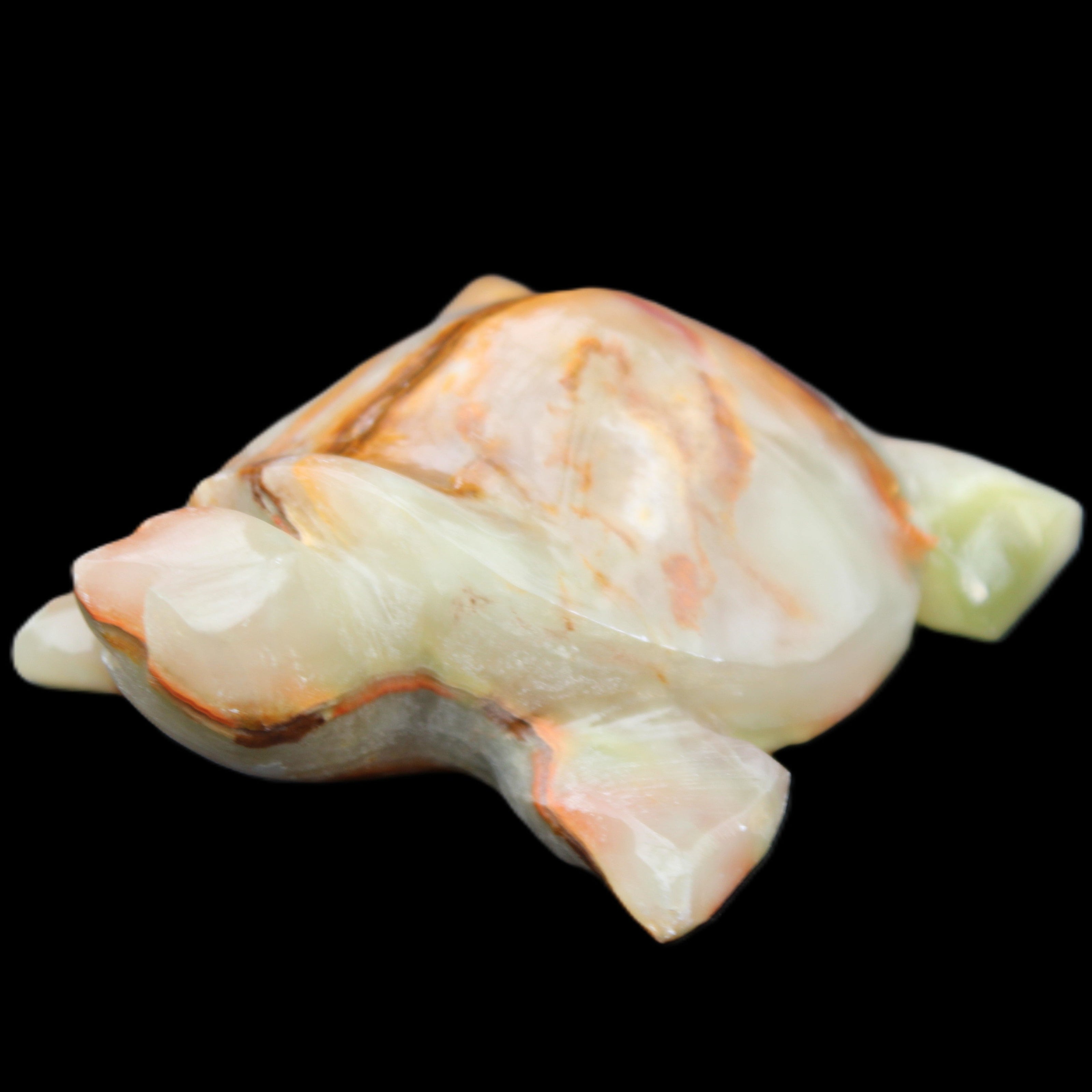 Afghan Jade hand-carved Turtle 92*74*32mm 278g in sunlight - Rocks and Things Store