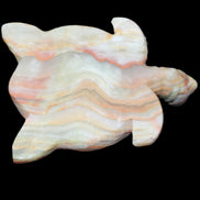 Afghan Jade hand-carved Turtle 105*77*31mm 249g in sunlight - Rocks and Things Store