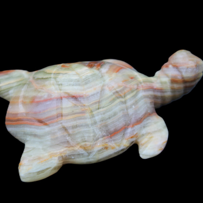 Afghan Jade hand-carved Turtle 105*77*31mm 249g in sunlight - Rocks and Things Store