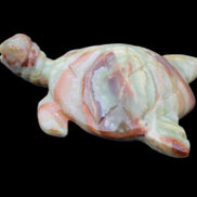 Afghan Jade hand-carved Turtle 105*77*31mm 249g in sunlight - Rocks and Things Store