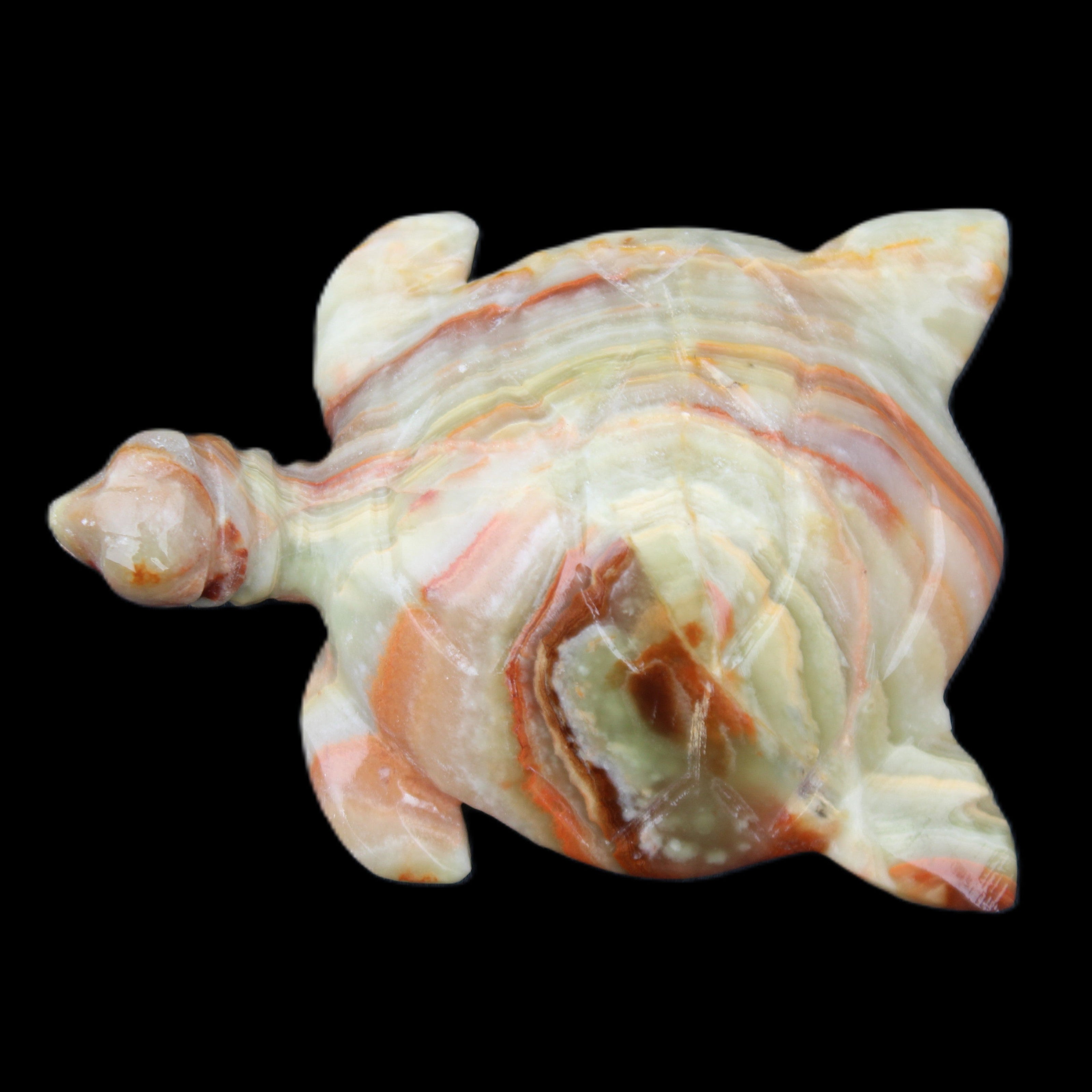 Afghan Jade hand-carved Turtle 105*77*31mm 249g in sunlight - Rocks and Things Store