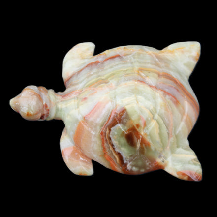 Afghan Jade hand-carved Turtle 105*77*31mm 249g in sunlight - Rocks and Things Store