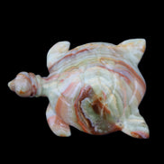 Afghan Jade hand-carved Turtle 105*77*31mm 249g in sunlight - Rocks and Things Store