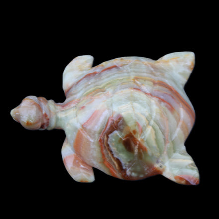 Afghan Jade hand-carved Turtle 105*77*31mm 249g in sunlight - Rocks and Things Store
