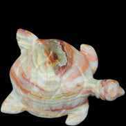 Afghan Jade hand-carved Turtle 105*77*31mm 249g in sunlight - Rocks and Things Store