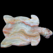 Afghan Jade hand-carved Turtle 105*77*31mm 249g in sunlight - Rocks and Things Store