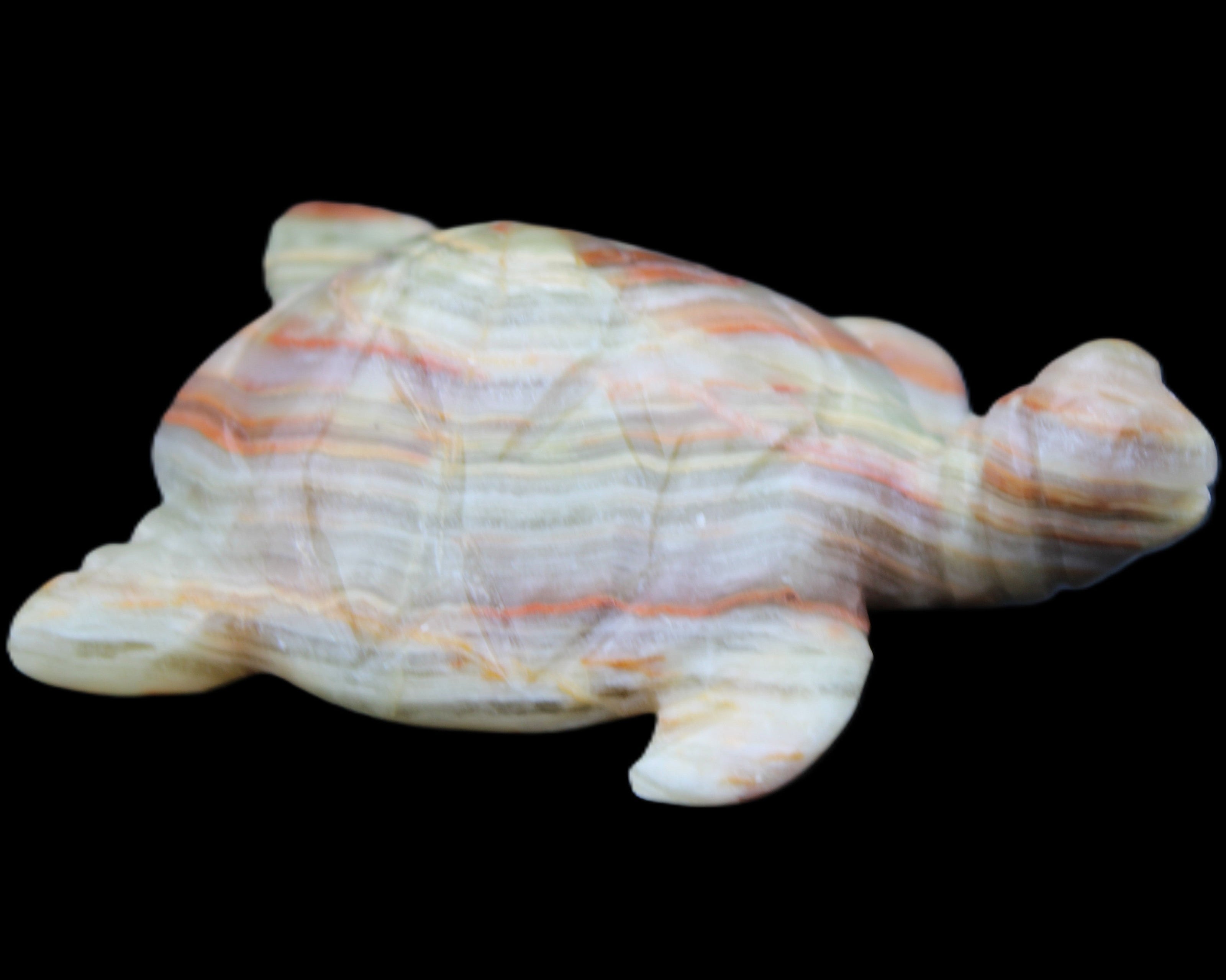 Afghan Jade hand-carved Turtle 105*77*31mm 249g in sunlight - Rocks and Things Store