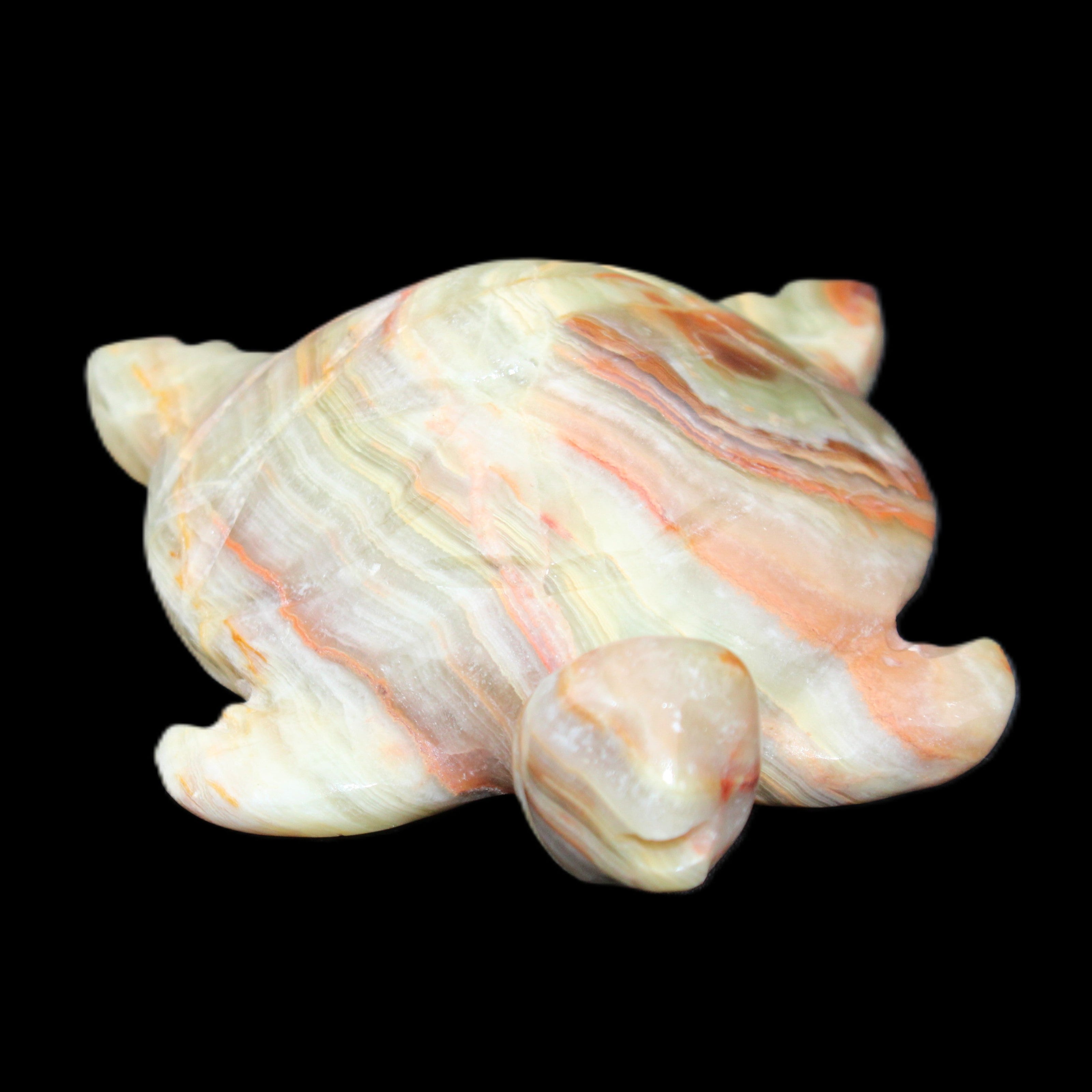 Afghan Jade hand-carved Turtle 105*77*31mm 249g in sunlight - Rocks and Things Store